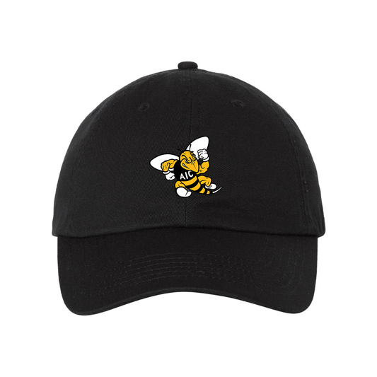 AIC Yellow Jackets  Valucap Adult Bio-Washed Classic Dad Hat
