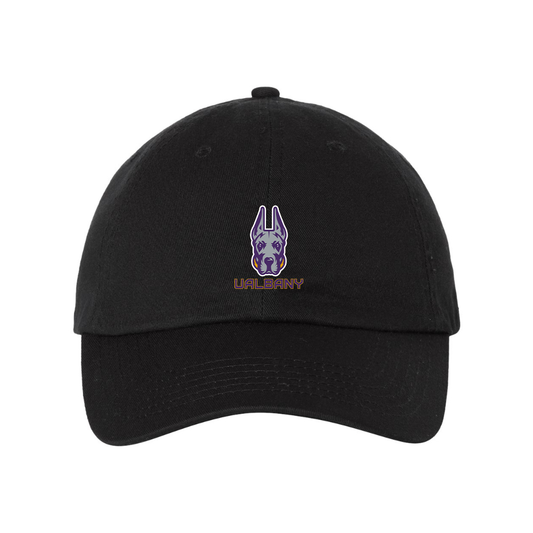 Albany Great Danes  Valucap Adult Bio-Washed Classic Dad Hat