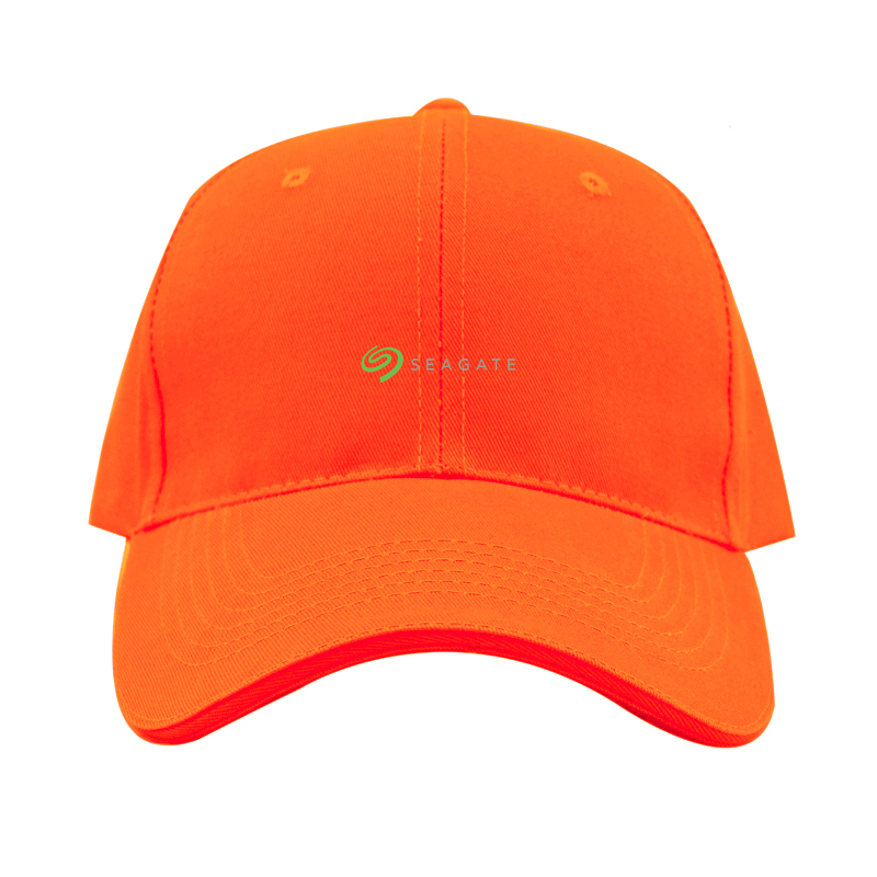 Seagate Logo Dad Baseball Cap Hat