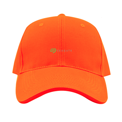 Seagate Logo Dad Baseball Cap Hat